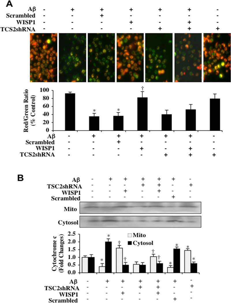 Fig. (5)