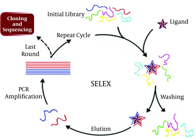 Figure 5.