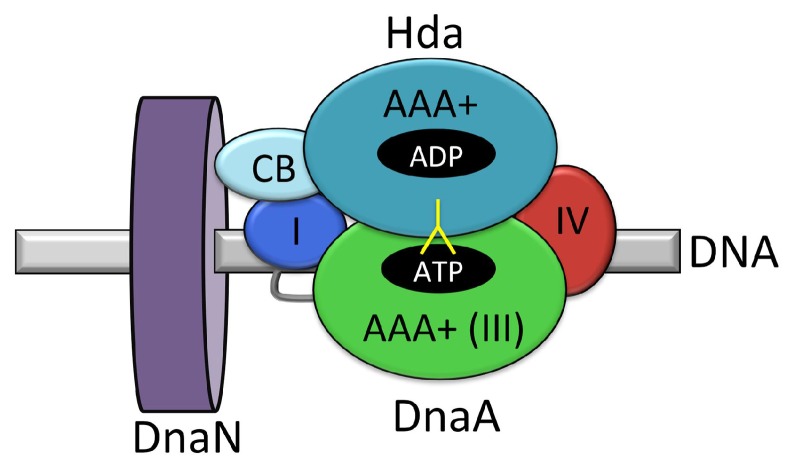 Figure 11