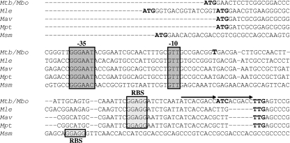 FIG. 8.