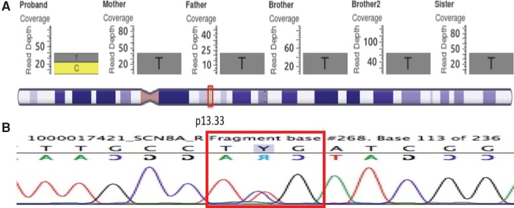 Figure 3.