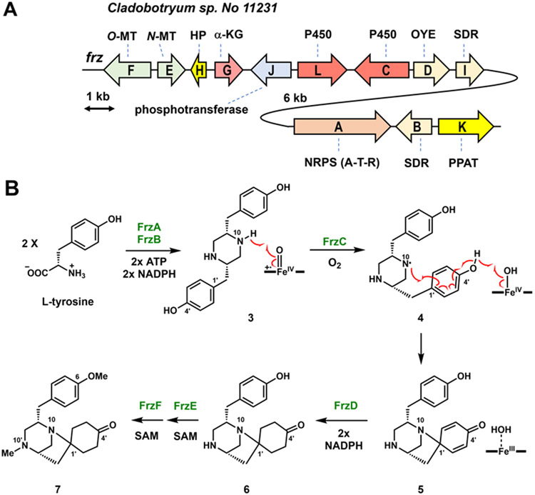 Figure 2.