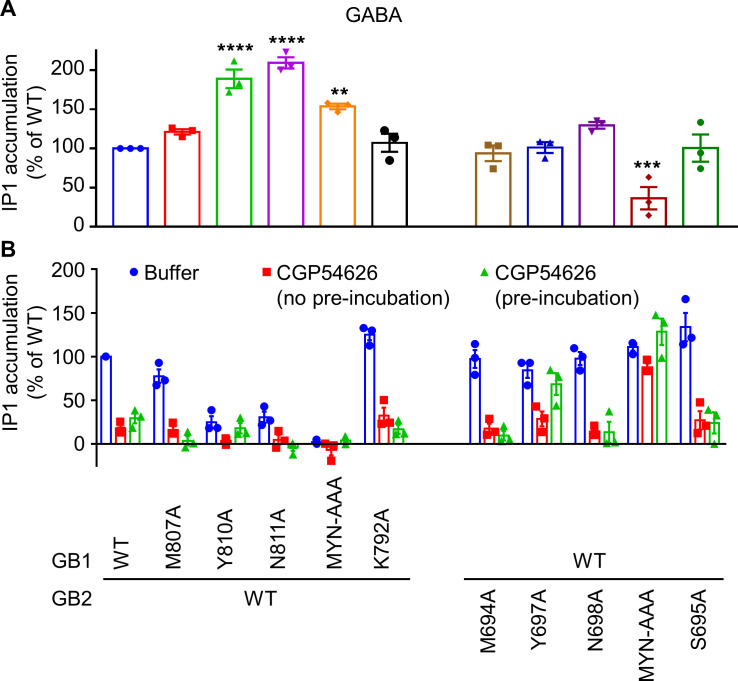 Figure 4—figure supplement 1.