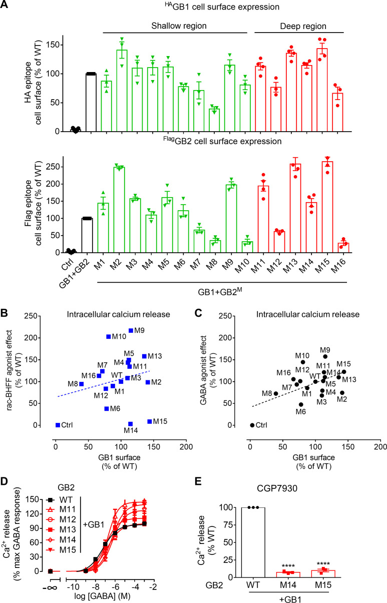 Figure 5—figure supplement 3.