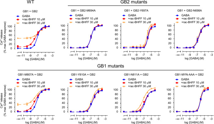 Figure 4—figure supplement 2.