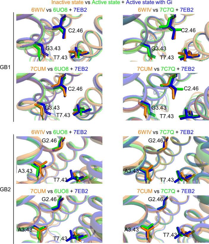 Figure 5—figure supplement 6.