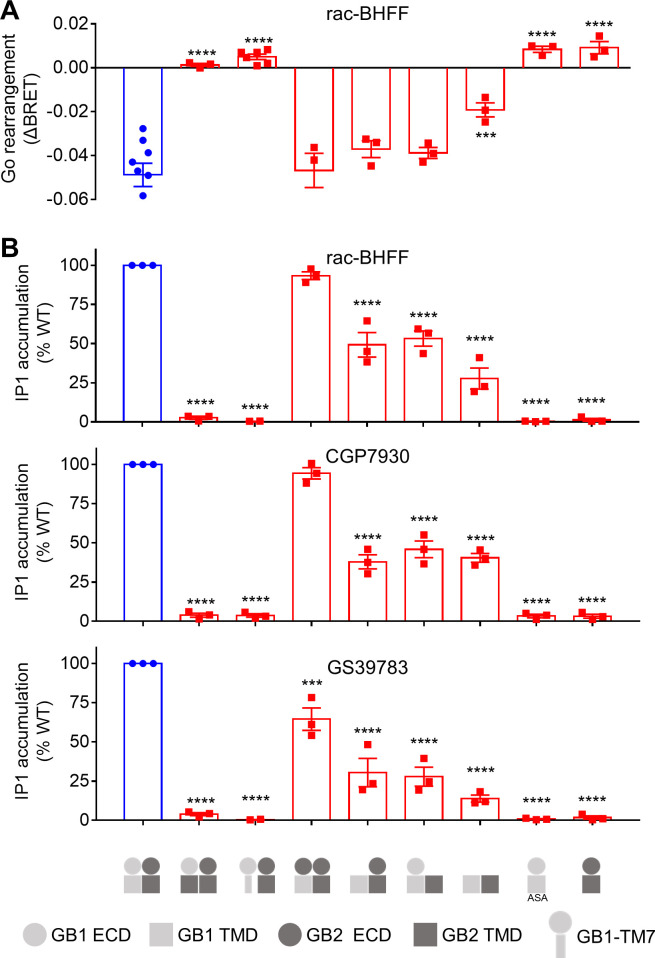 Figure 3—figure supplement 2.