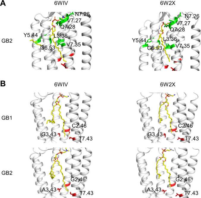 Figure 5—figure supplement 1.