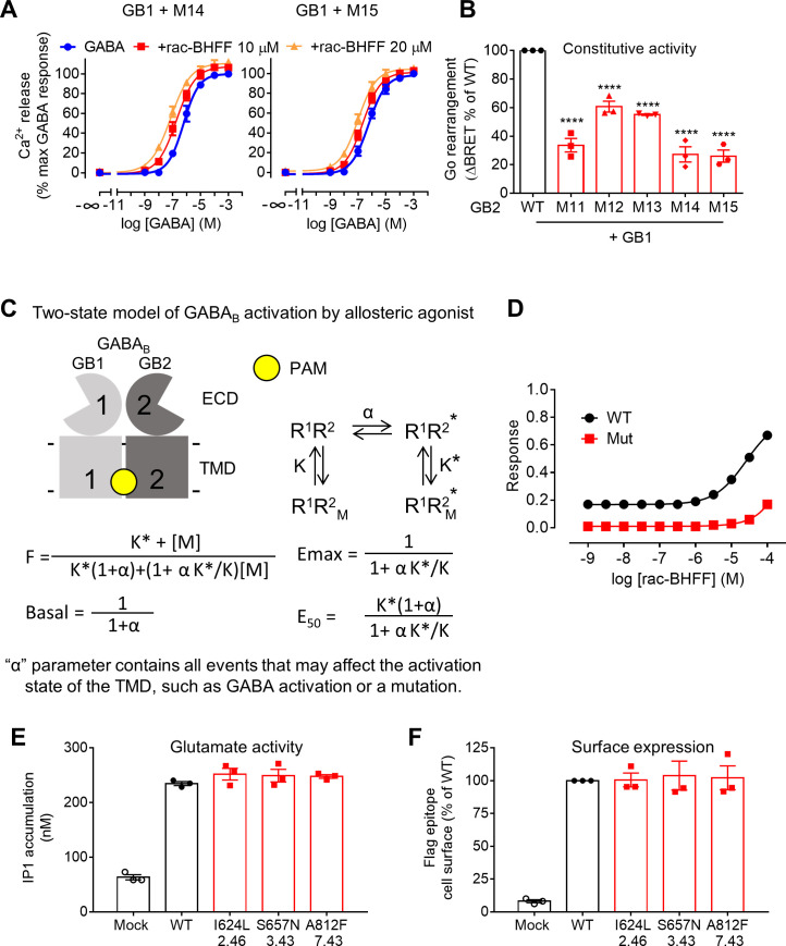 Figure 5—figure supplement 4.