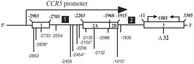 Fig 1.