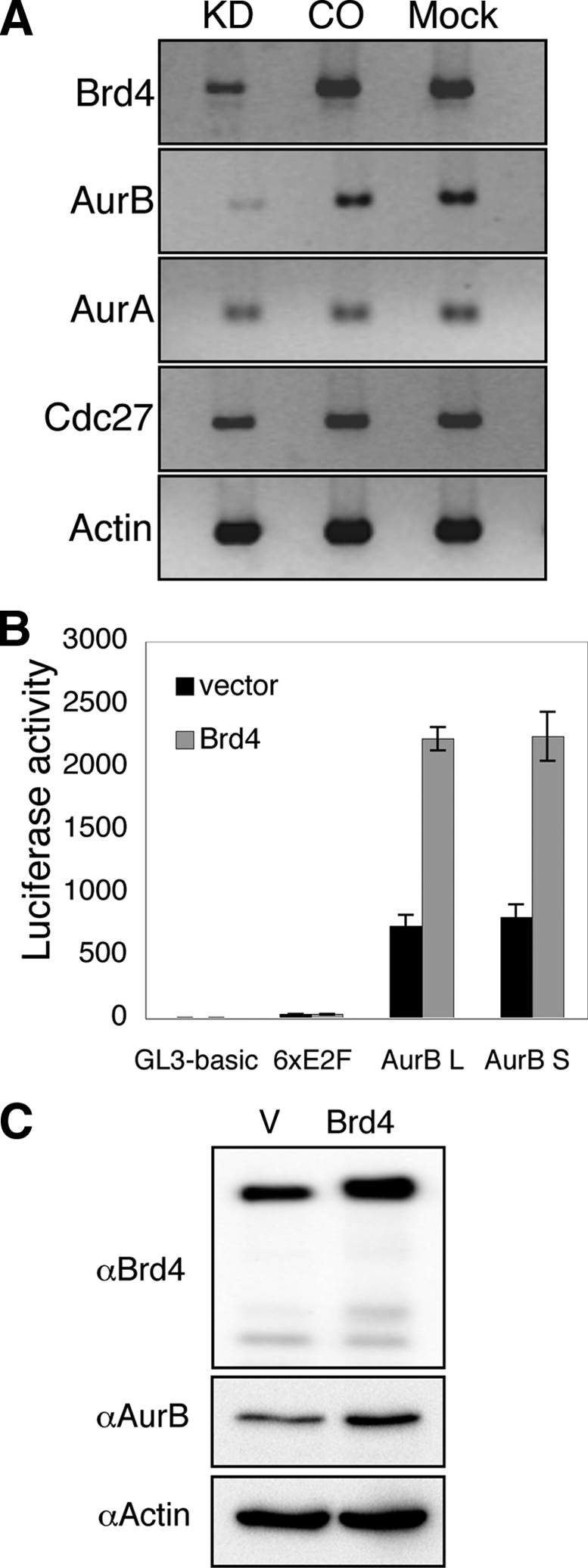 FIG. 6.