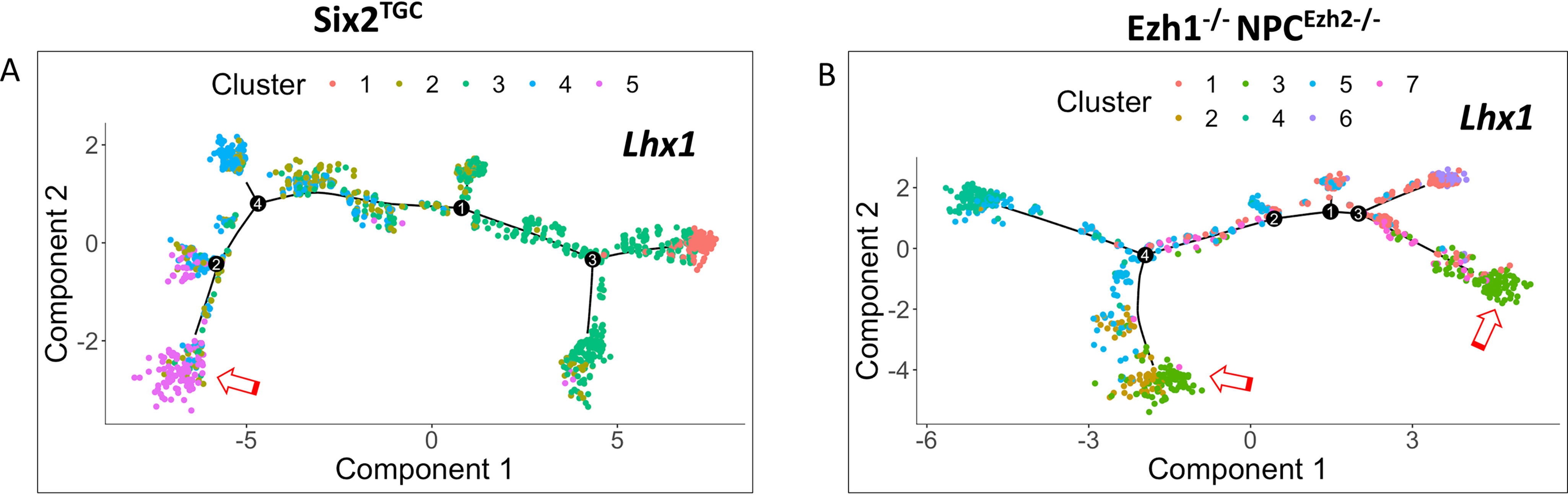 Figure 6.