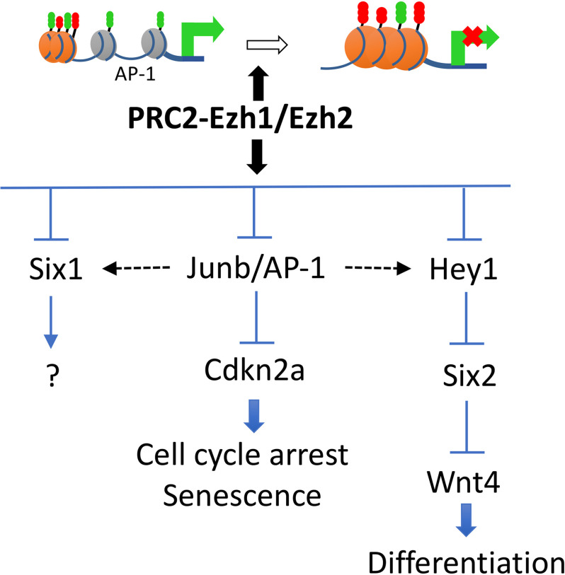 Figure 9.