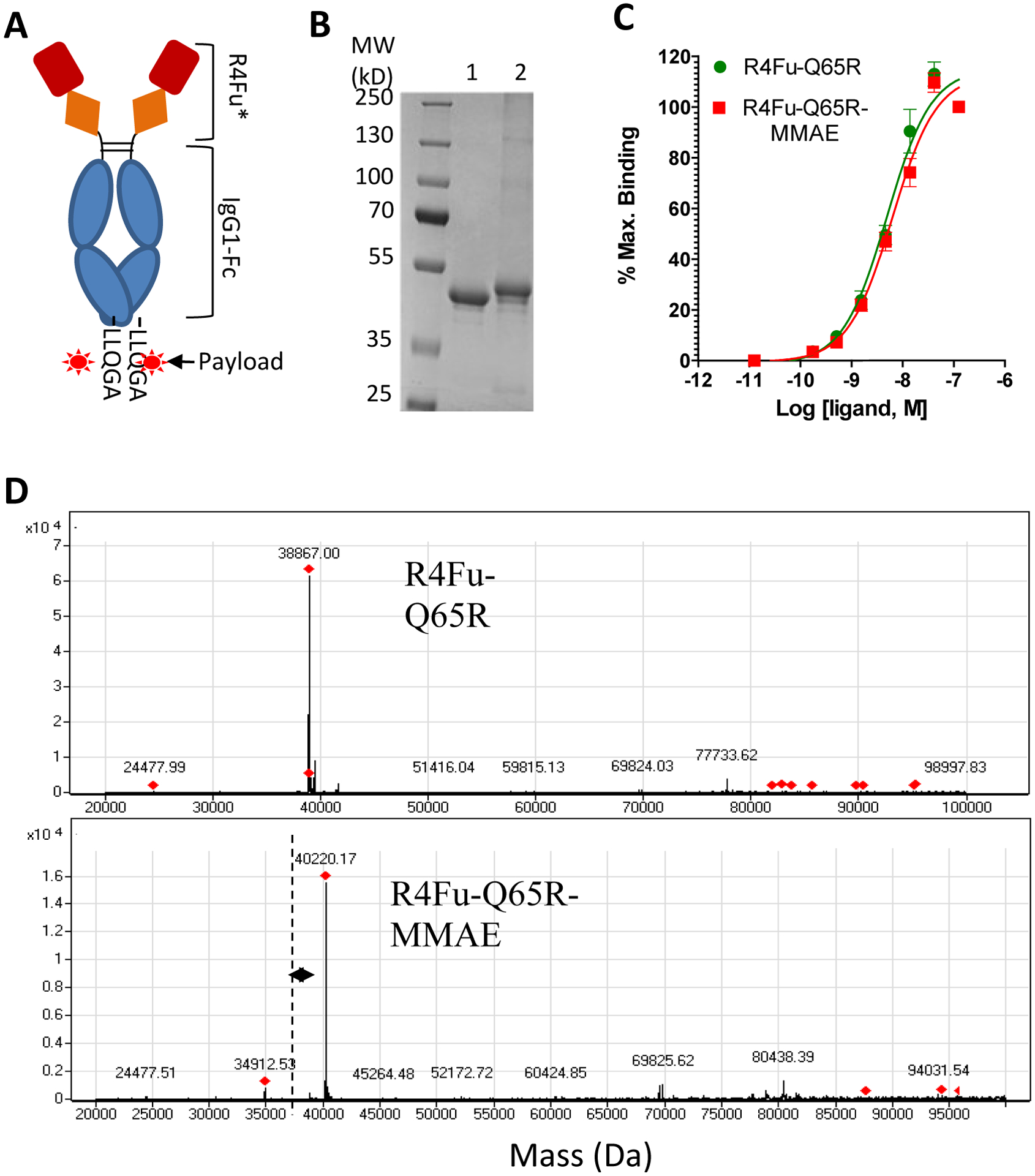 Figure 2.