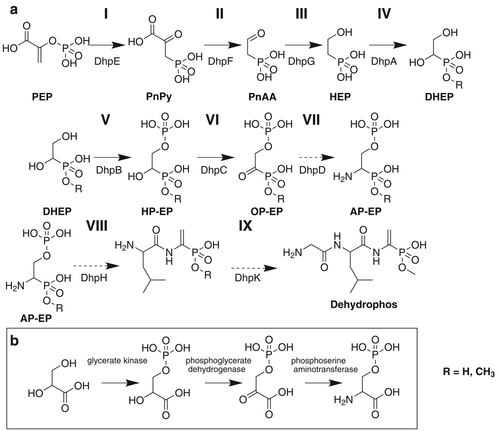 FIG 6