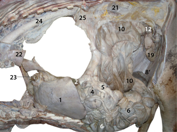 Figure 7