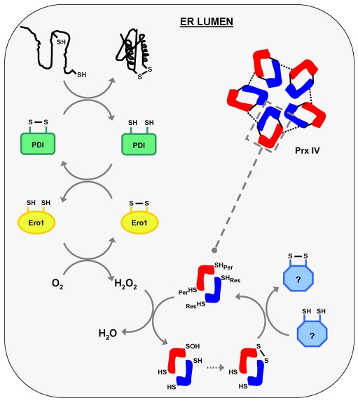 Fig. 6.