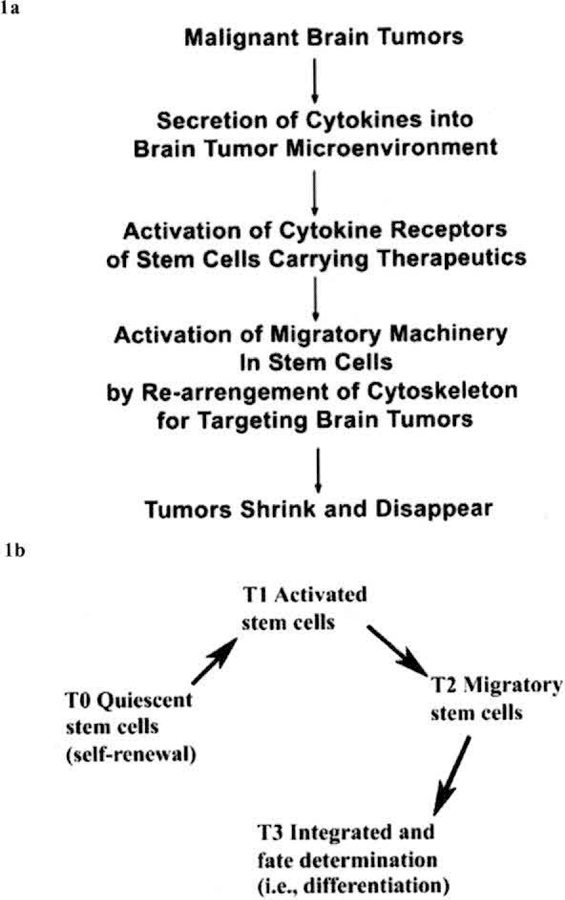 Fig. (1)