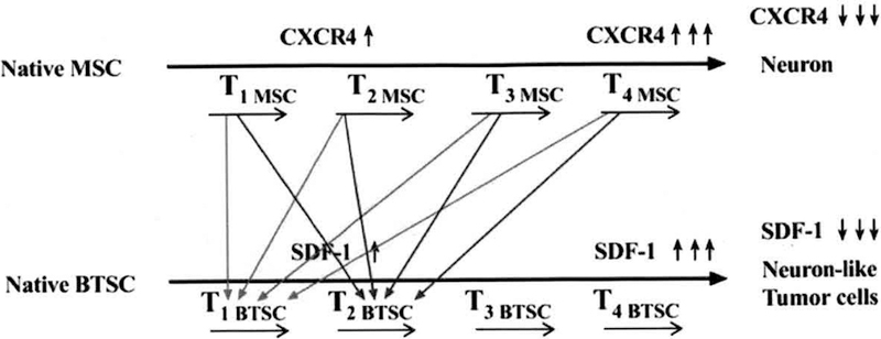 Fig. (3)