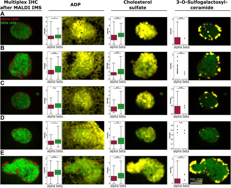 Figure 4