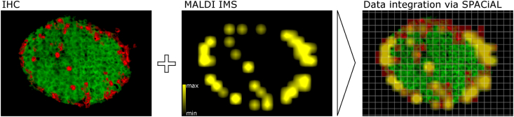 Figure 2