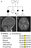 Figure 6: