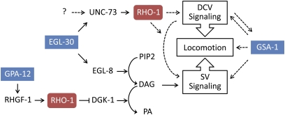 Figure 7 