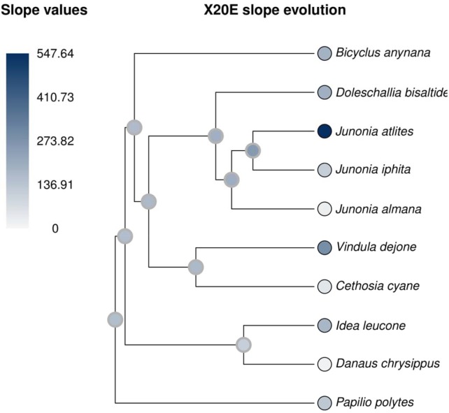 Figure 2—figure supplement 2.