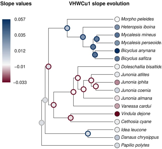 Figure 1—figure supplement 3.