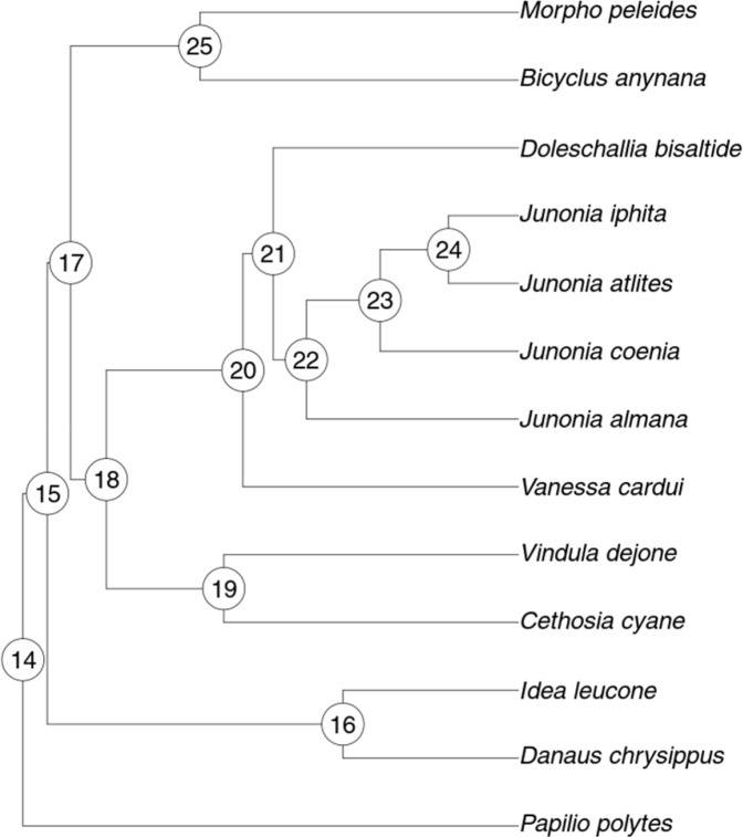 Figure 1—figure supplement 4.