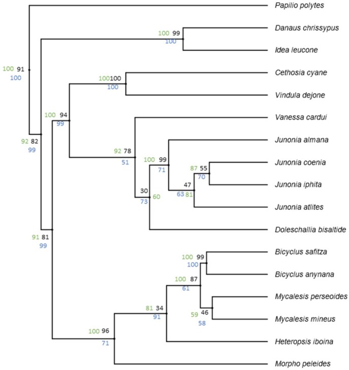 Figure 1—figure supplement 2.