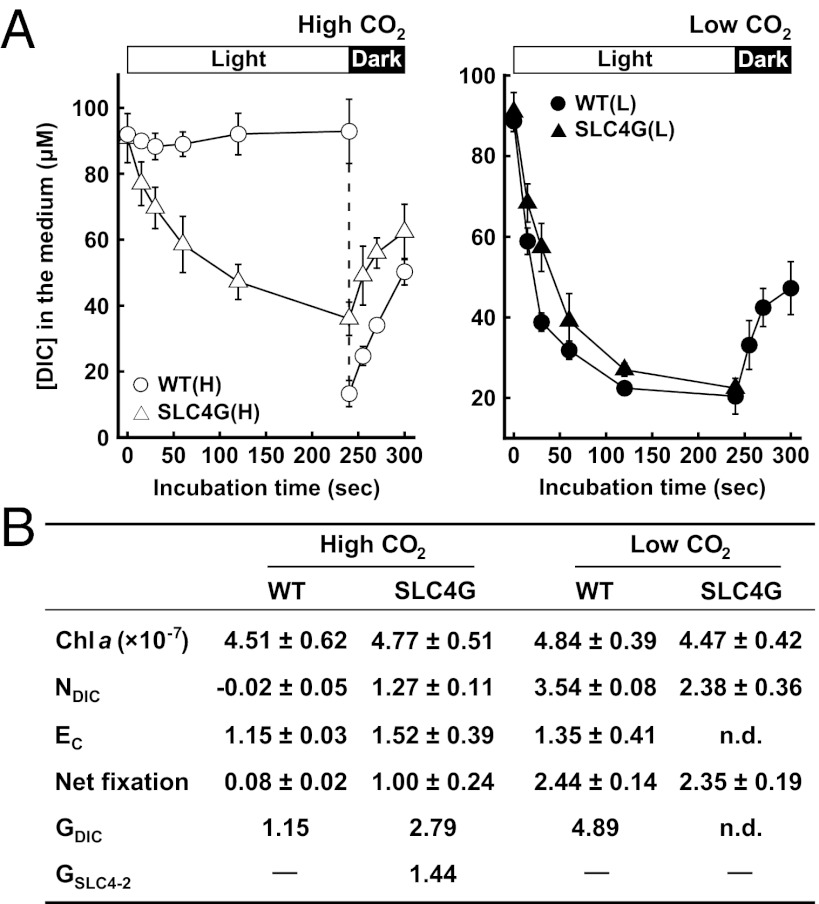 Fig. 3.