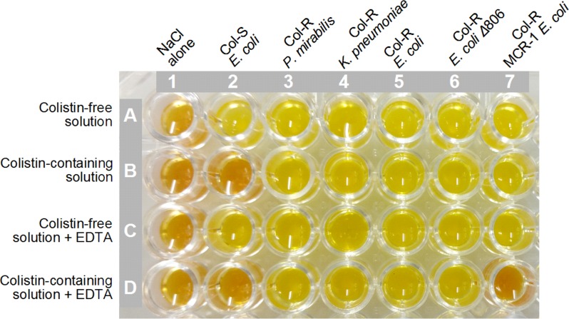 FIG 1