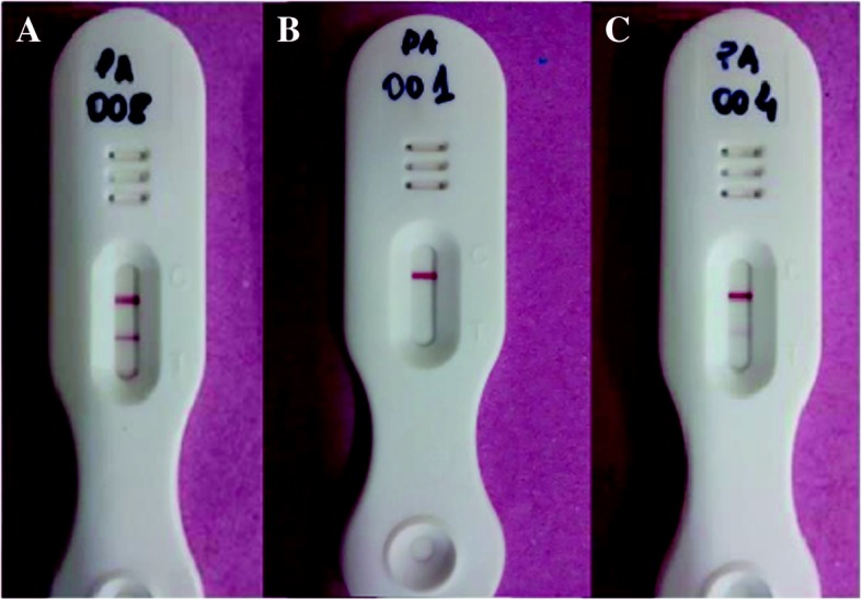 Fig. 3