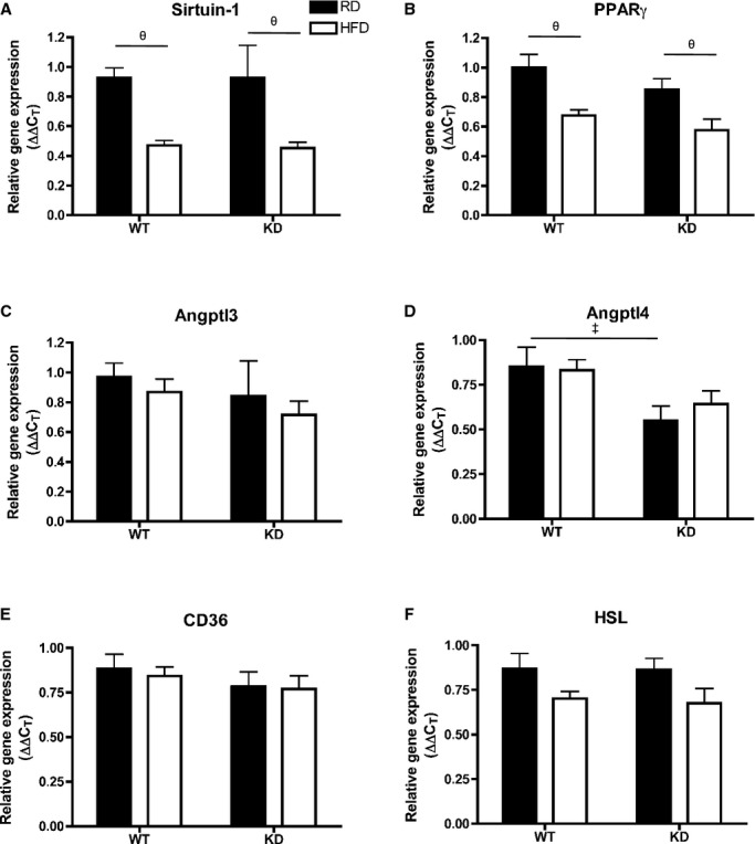 Figure 12.