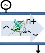 Graphical Abstract
