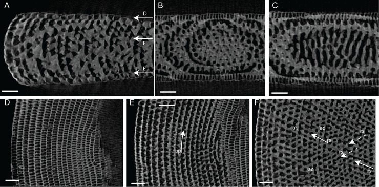 Fig 11