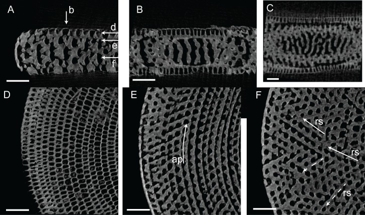 Fig 13