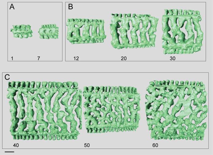 Fig 12