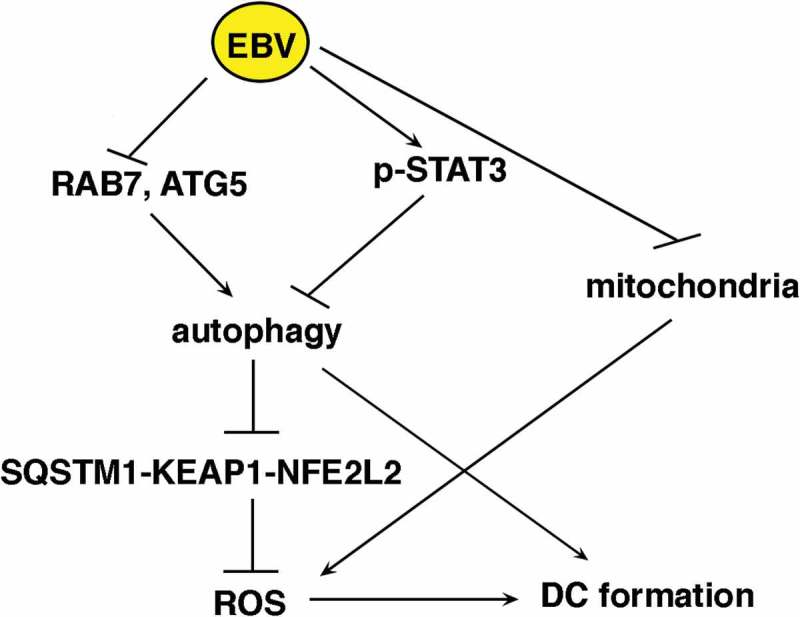 Figure 11.