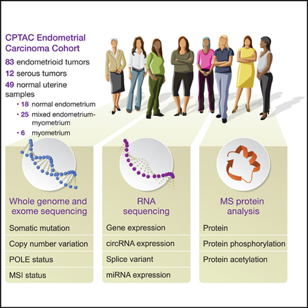 graphic file with name nihms-1566438-f0008.jpg