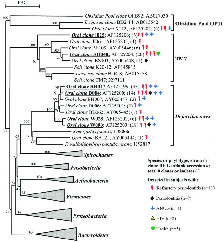 FIG. 1