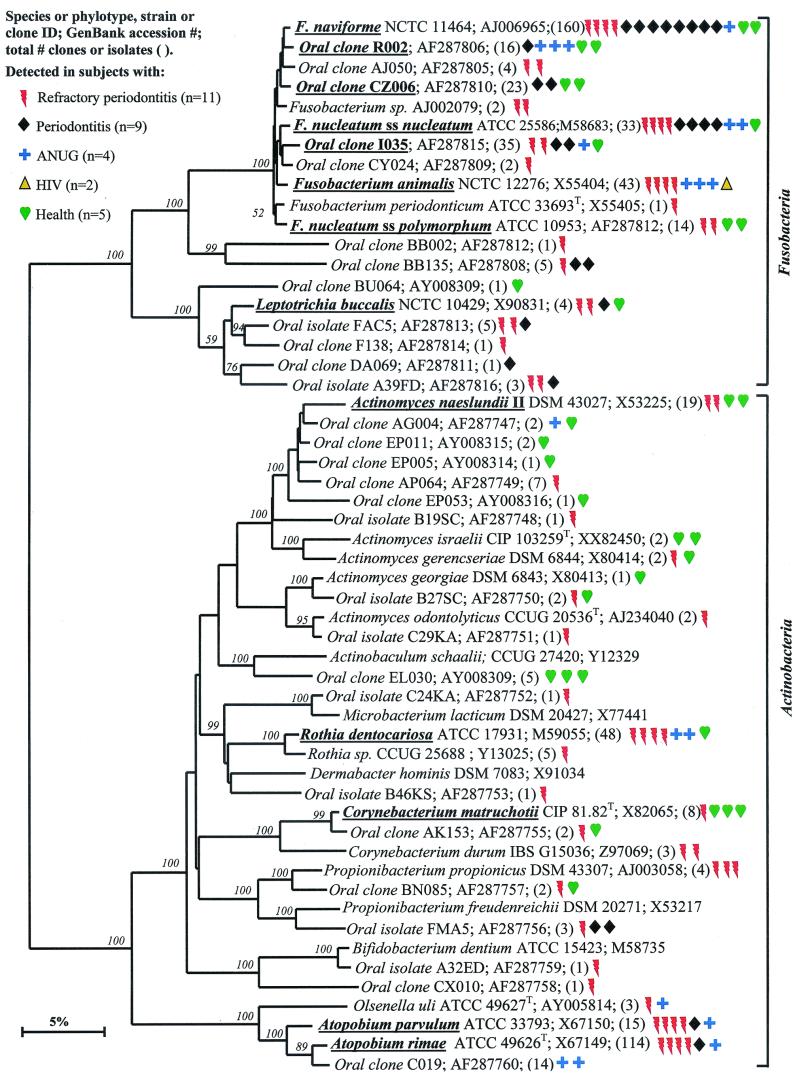 FIG. 3