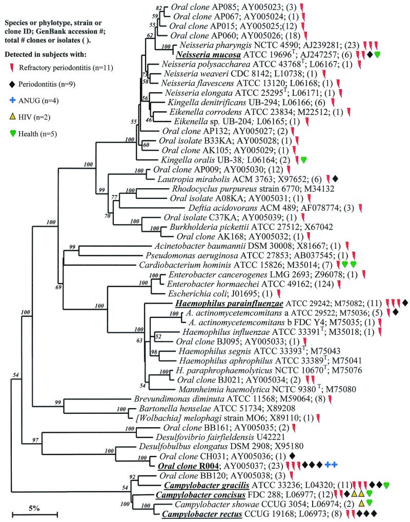 FIG. 6