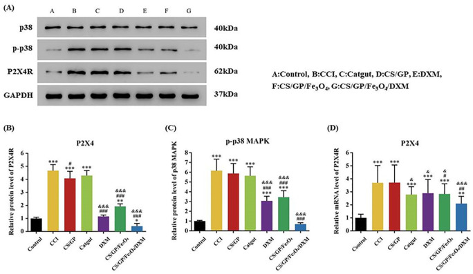 Figure 10.