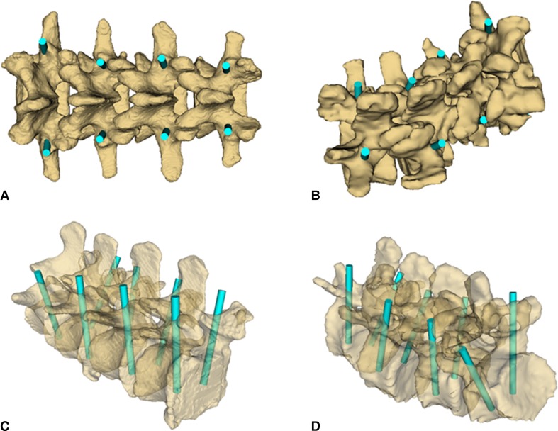 Fig. 5A–D