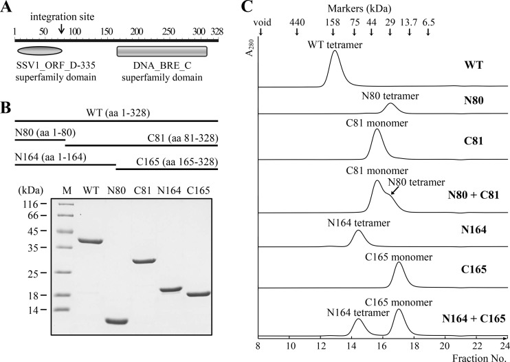 FIG 4