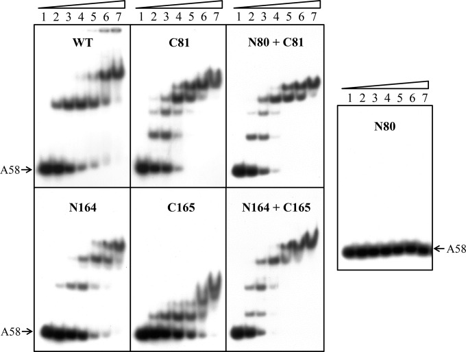 FIG 5