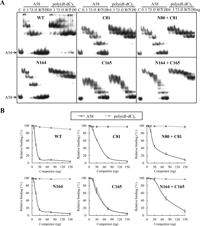 FIG 6