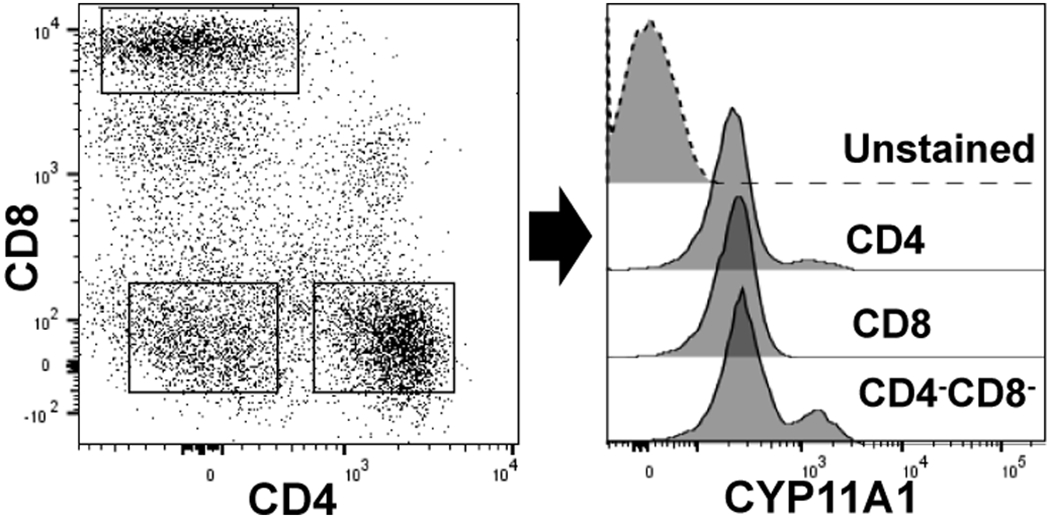 Figure 3: